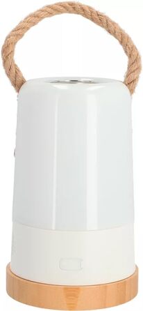 Світлодіодний кемпінговий ліхтар BERGER Sonido з Bluetooth-динаміком Акумуляторний вуличний ліхтар із регульованою яскравістю RGB-підсвітки Кемпінговий ліхтар без блоку живлення, з батареєю та USB-кабелем Легкий ліхтар для кемпінгових наметів