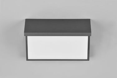 Стічний LED-світильник Trio Leuchten Nestos 240969142, алюміній (антрацит), білий пластиковий плафон, 13 Вт, з датчиком руху