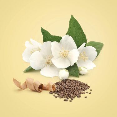 Парфумована вода для неї, деревно-квітковий аромат для жінок 100 мл (1 упаковка)