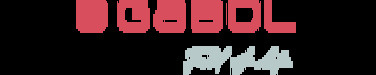 Валіза Gabol Future (M) Coral (123046-036)