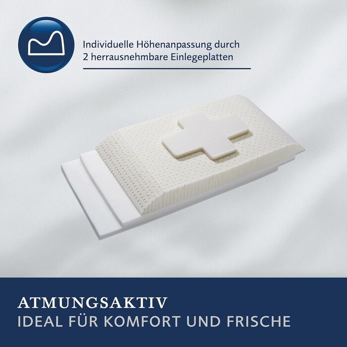 Подушка для шиї Billerbeck Belair - розмір подушки для шиї приблизно 40 x 80 см - подушка з латексом VITA TALALAY - оптимальна підтримка шиї - регульована висота