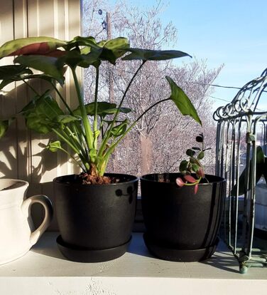 Квіткові горщики пластикові маленькі, товщина квіткового горщика, пластикові горщики для рослин круглі з блюдцем для сукулентів ма