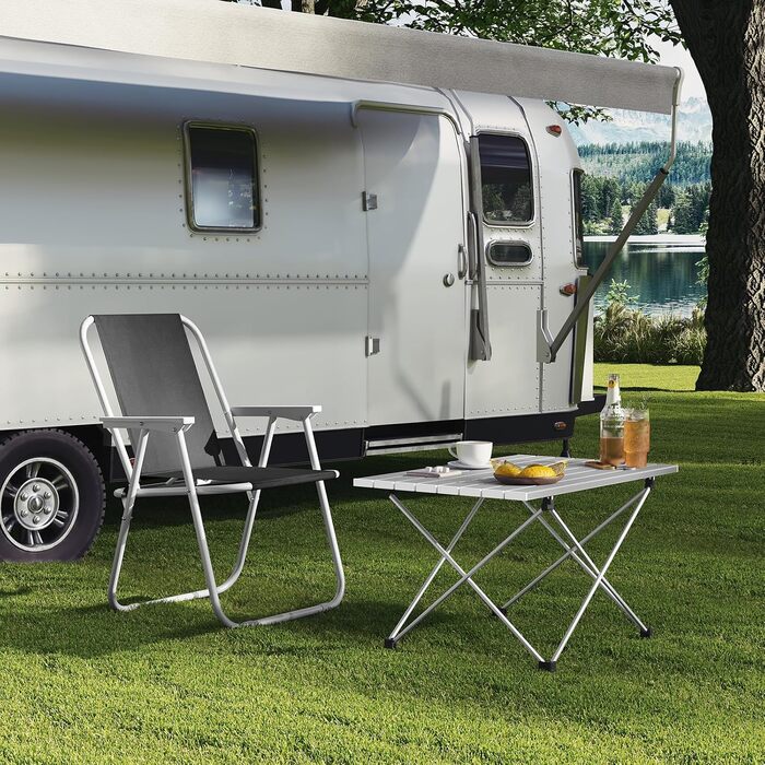 Алюмінієвий складаний кемпінговий стіл WOLTU, ультралегкий портативний з сумкою для перенесення, маленький дорожній столик, бічний столик для кемпінгу, пікніків, риболовлі на свіжому повітрі, 68 x 46 x 40 см, сріблястий
