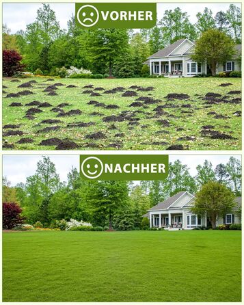 Гребінь для газону Rasen Rakel 76x25 см з ручкою 198 см, вирівнювач газону, широкий гребінь для піску, садовий аератор/гребінь для подвір'я, газону та гольф-поля (198 см, 76x25 см)