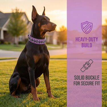 Нашийник для собак з екошкіри з заклепками для малих, середніх та великих порід (Пітбуль, Мастиф, Лабрадор, Боксер, Ротвейлер, Німецька вівчарка), фіолетовий, розмір XL
