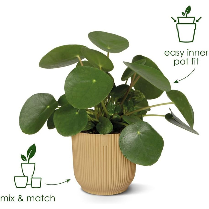 Горщик для рослин - Кімнатний горщик для квітів - 100 перероблений пластик - Ø 18,4 x H 16,8 см - зелений/сорбетний зелений Сорбет