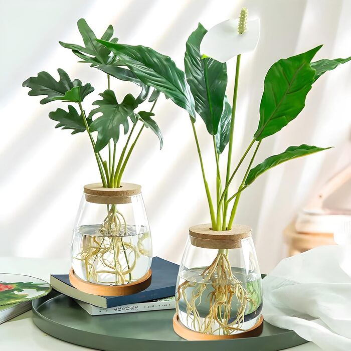 Ваза для закваски насіння авокадо Скляний плантатор Гідропонна скляна ваза для водних рослин або квітів Домашній офіс Оформлення столу 2 шт., 12x11