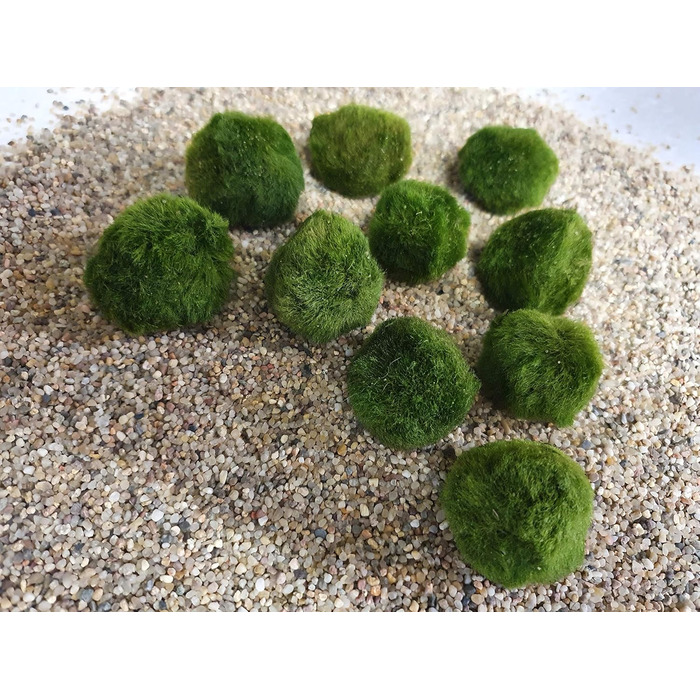 Мохові кульки з водними рослинами SAHAWA Aquatic Arts 10 мохових кульок приблизно 3 см