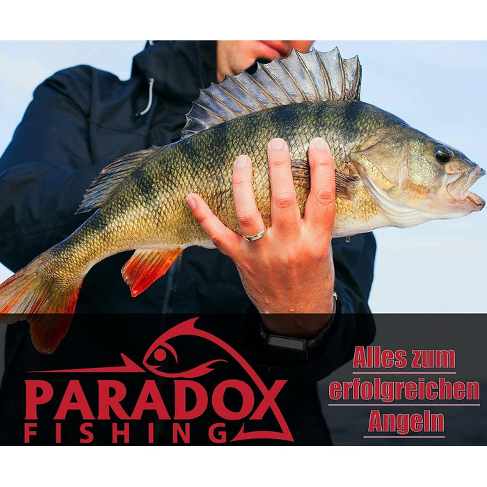 Набір вертлюгів Paradox Fishing Fishing I містить розміри 4-14 100/150 шт. I вертлюги рибальські вертлюги Набір аксесуарів для риболовлі В асортименті вертлюги Рибальські вертлюги з карабіном Карабін для риболовлі