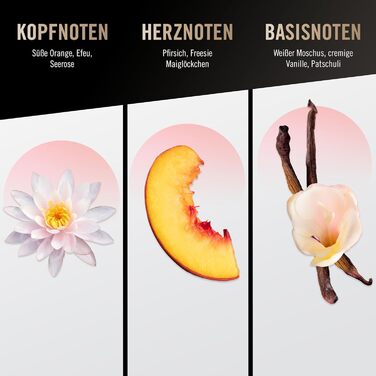 Туалетна вода bruno banani Woman Natural Spray, квітково-фруктові жіночі парфуми, скляний флакон з розпилювачем, 100 мл (1 упаковка)