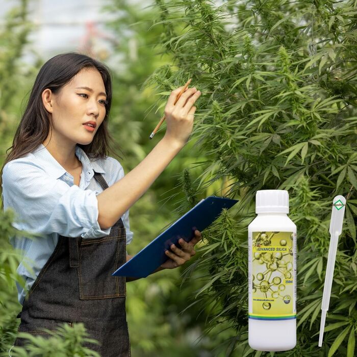 Мл - фаза цвітіння, вирощування, вирощування в закритому грунті, органічні помідори, огірки, рідке органічне добриво., 100