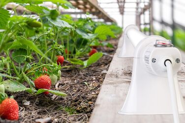 Обігрівач для теплиць Royal Gardineer Електричний занурювальний обігрівач для теплиць, 55 Вт, 51 см, IP44 (нагрівальні стрижні, підігрів ґрунту, зимовий захист)