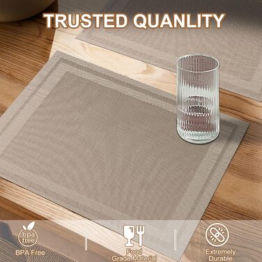 Серветки миються Набір з 6 вінілових серветок для обіднього столу Кухонні серветки Міцні серветкиСтолові аксесуари - набір з 6 сер