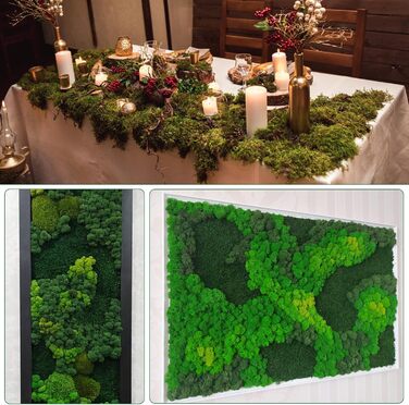 Ісландський мох, консервований мох, декоративний мох для рукоділля, картина з моху, виготовлення моделей, художній мох, натуральний консервований мох у 6 кольорах (240 г), натуральне багаторазове листя моху для декору, виготовлення моделей, прикраса для д