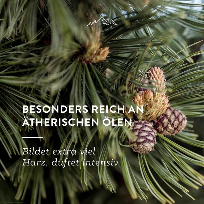 Подушка для голови AllguQuelle Natural Products з органічної швейцарської сосни зі 100 органічною стружкою швейцарської сосни 500 г. Натуральна ароматизована подушка. Органічна подушка для голови, чиста та органічна.