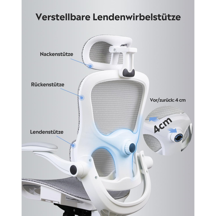 Ергономічне офісне крісло DEVAISE Робоче крісло із сегментованою спинкою, регульованим підголівником та поперековою опорою, 4D-підлокітниками, функцією гойдання, високою спинкою, для офісного використання, до 180 кг, сірий колір