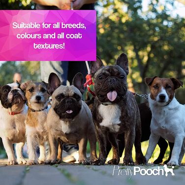 Шампунь та кондиціонер Pretty Pooch Gentle Touch для собак, професійний шампунь глибокого очищення для собак з чутливою шкірою, що не викликає свербежу (4 л, аромат дитячої присипки)