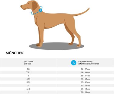 Нашийник для собак HUNTER Мюнхен, колір зелений/коньяк, шкіра, вишукані деталі в традиційному стилі, м'який та міцний, дбайливий до шерсті, розкішний, екологічно чистий, стійкий, виготовлено в Німеччині, розмір 32 зелений/коньяк 32