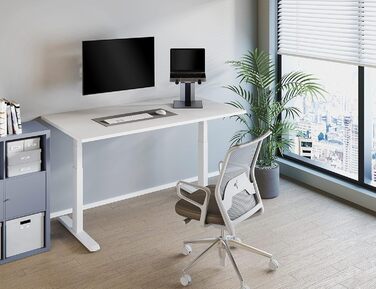 Підставка для ноутбука Newstar NSLS200, 10-16, до 5 кг, сріблясто-чорна, 9287917000