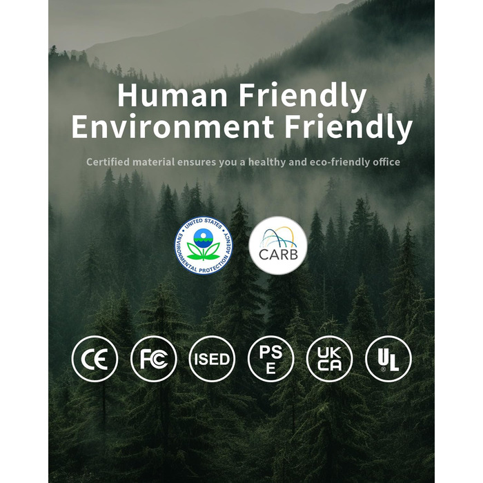 Стіл FEZIBO з регульованою висотою та портами зарядки USB-A та USB-C, 100 x 60 см