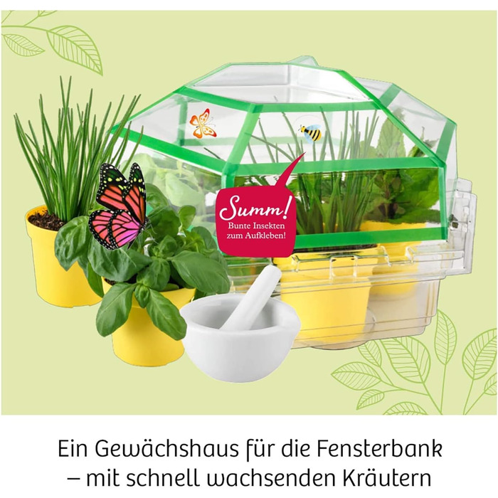 Набір для експериментів Herb Garden KOSMOS, вирощування трав