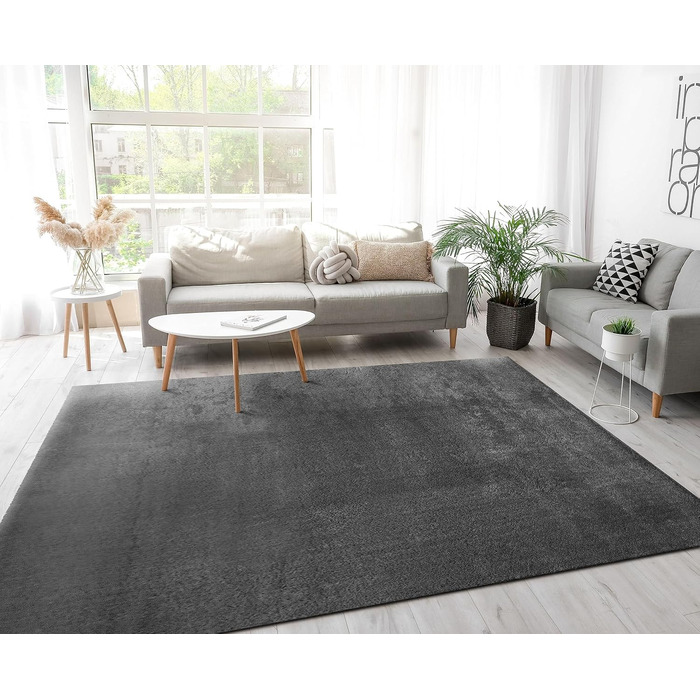 Килимок Paco Home Килимок для вітальні спальні з коротким ворсом нековзний пухнастий м'який сучасний однотонний візерунок, розмір1
