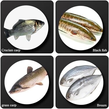 Бездротова електрична машина для видалення луски риби Машина для видалення луски риби Електрична побутова машина для видалення луски риби Комерційна риба Чорний usb