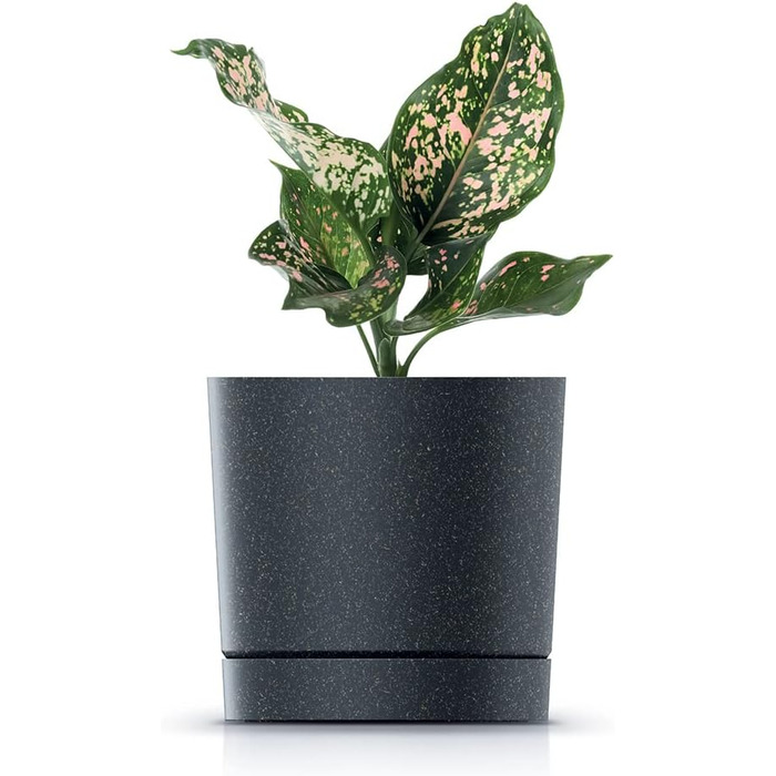 Горщик для квітів Tymar з блюдцем, 2 шт. , декоративний пластиковий горщик для рослин, сучасний, круглої форми, для внутрішнього в