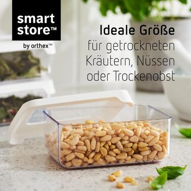 Набір контейнерів SmartStore 0.35л (10 шт.) Пластикові коробки для зберігання з кришками, без BPA, придатні для миття в посудомийній машині Штабельовані органайзери для кухні 12,5 x 9 x 5 см, 0,35 л / Набір з 10 шт. з кришками