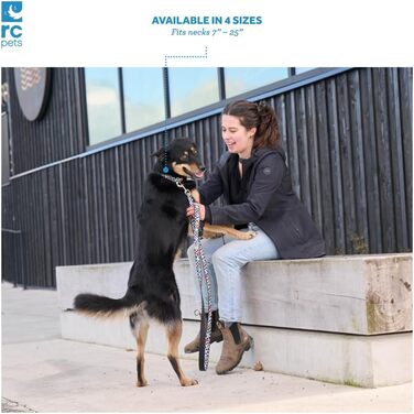 Нашийник для собак RC Pet Products, 1,3 см, регульований, Середній розмір - Ширина 1, Кістка Середній розмір - Ширина 1 Кістка