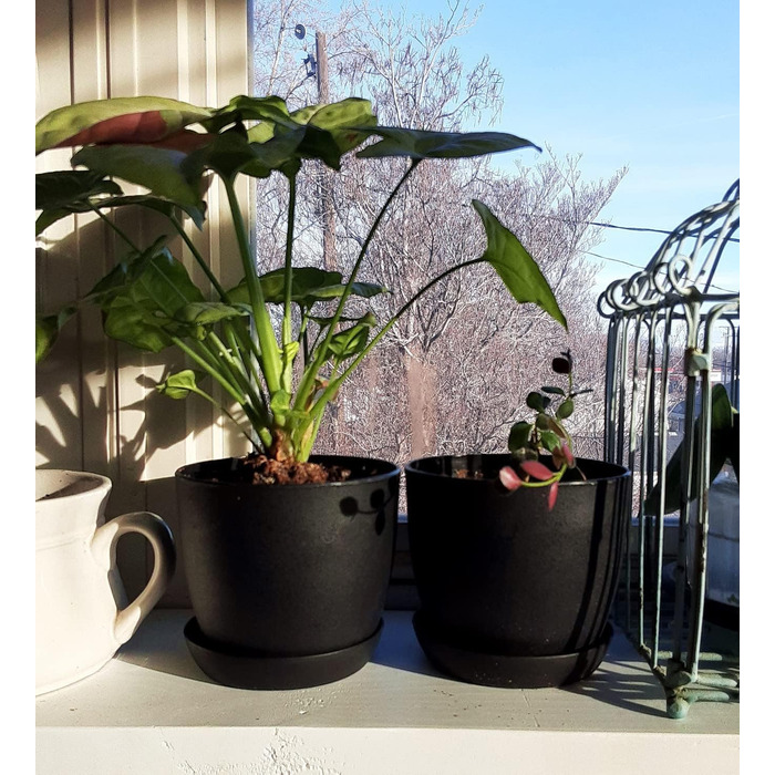 Квіткові горщики пластикові маленькі, товщина квіткового горщика, пластикові горщики для рослин круглі з блюдцем для сукулентів ма