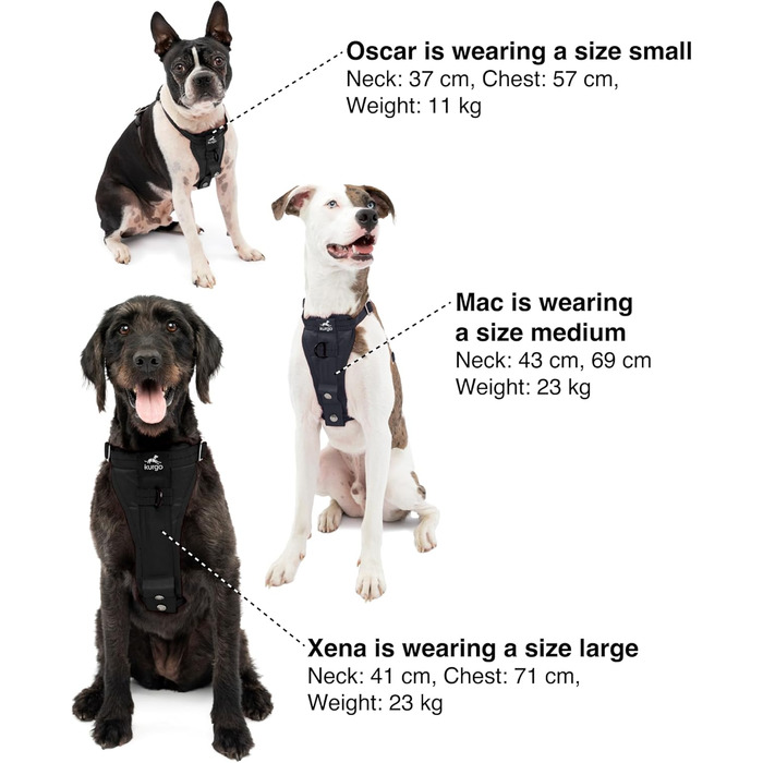 Повідець-Шлейка для Собак, Антитягнучий Шлейка з Переднім Кріпленням для Навчання та Автомобільний Ремінь Безпеки для Собак. Чорний, Розмір L (великий) Чорний Великий