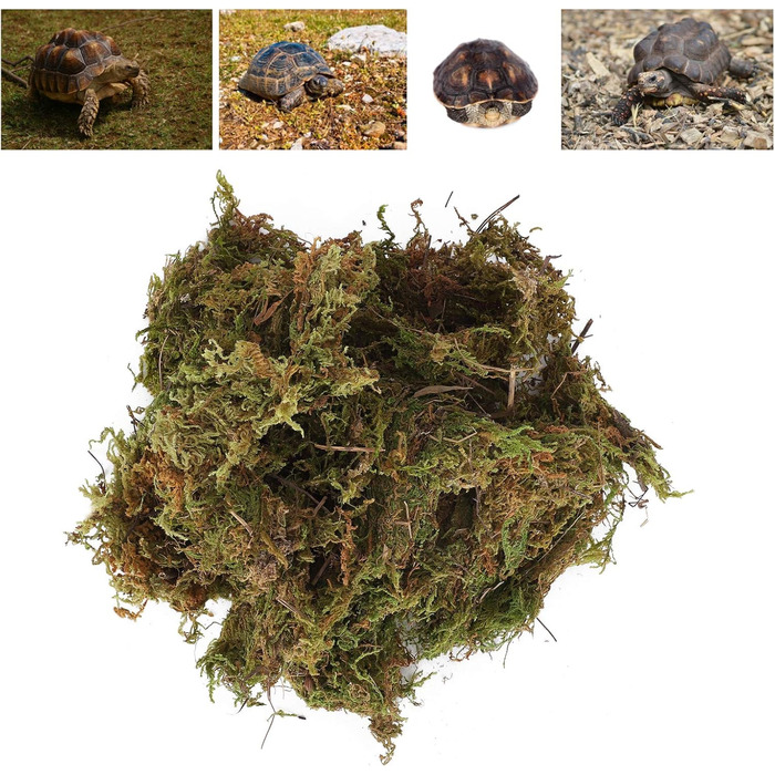 Субстрат Qukaim Mossfor Reptiles Reptile Terrarium Moss Green Sphagnum Moss для рептилій Натуральна прикраса для тераріумів 100 г