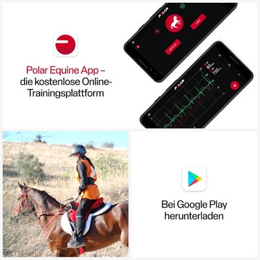 Коні, кінний спорт - Ручка з датчиком серцевого ритму H10