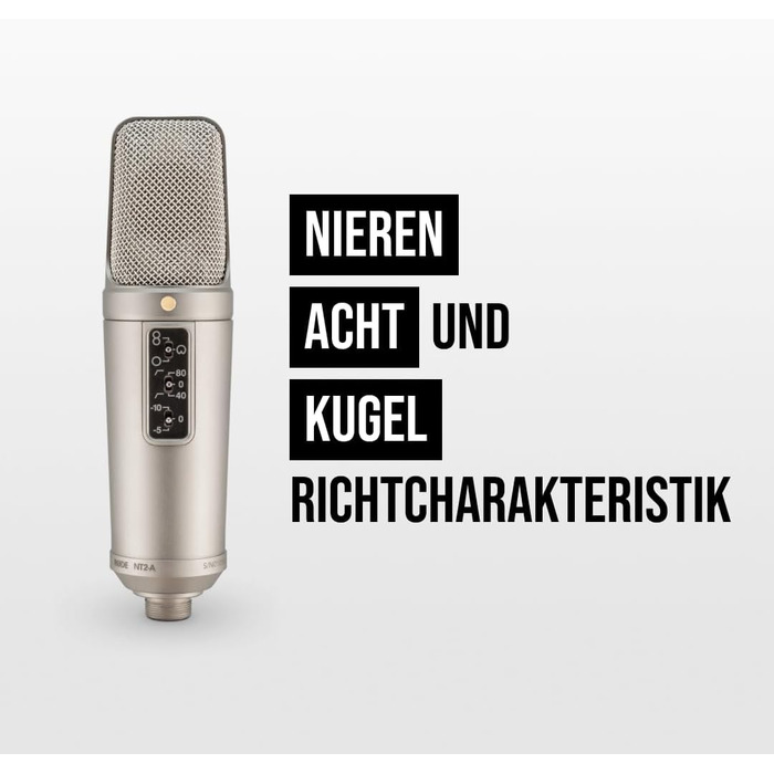 �DE NT2-A Універсальний конденсаторний мікрофон з великою діафрагмою зі змінною полярністю, попереднім ослабленням і фільтром висо