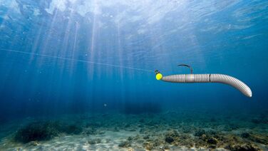 Стартовий набір Libra Lures Fatty D Worm Tournament 55 мм 20 мяких приманок для форелі 10 кольорів з ароматом криля набір гумових приманок герметичний контейнер ідеально підходить для лову форелі