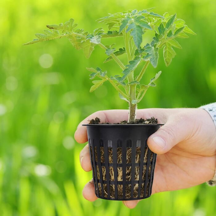 Сітчастий горщик для гідропоніки, сітчастий горщик для рослин 8 см, сітчастий горщик для гідропоніки, пластиковий сітчастий горщик для гідропоніки, кошик для водної культури, сітчастий горщик для садових рослин балконний горщик, 80 шт.