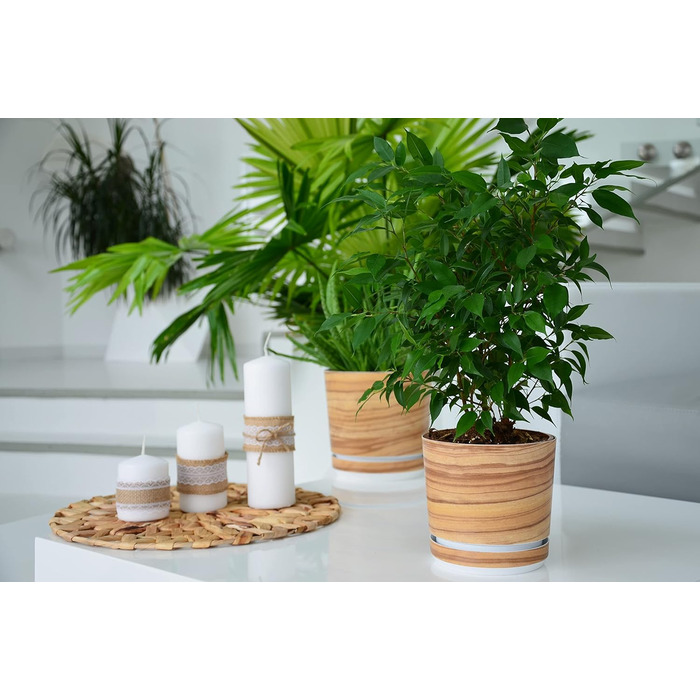 Горщик для квітів з блюдцем - Візерунок 047 Бамбук - 26 см - Кашпо з високоякісного пластику - Декоративний горщик для рослин 26 с