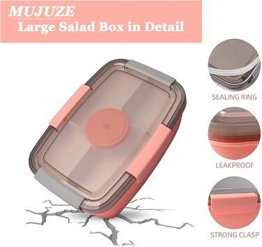 Ланч-бокс для дорослих великий, салатна коробка 2000 мл на винос, ланч-бокс для дорослих зі столовими приборами, бенто-бокс з відд