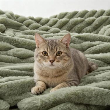 Товста плюшева ковдра Tofinel, пухнаста, 150x200 см - Маленька шерпа ковдра, шавлієво-зелена та ковдра для дивана, ковдра з імітації вовни, портативна тепла пухнаста пледка для вітальні та пікніка, флісова ковдра, 150x200 см, шавлієво-зелена 1