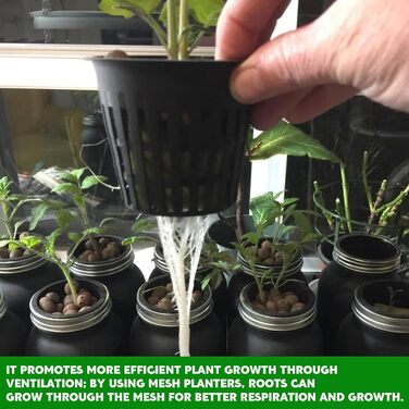 Пакетів горщиків для сітки для гідропоніки, кошик для гідропоніки 8,3 см. Горщики для рослин. Горщик для гідропоніки. Сітка для рослин. Садові приналежності для гідропоніки (чорні), 30