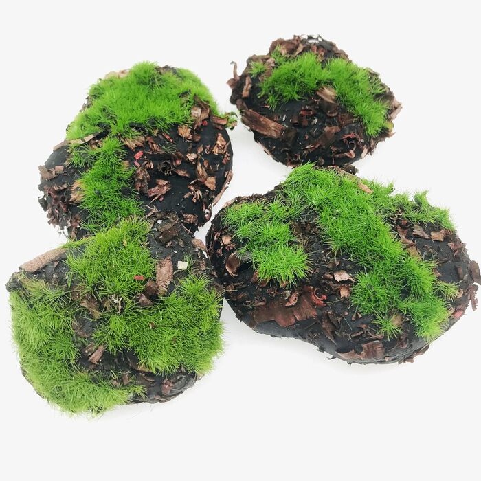 Учних мохових кульок, 30 декоративних штучних мохових каменів і 8 шт. учних мохових каменів із тирси для створення квіткових композицій, казкових садів і ремесел, 38 шт.