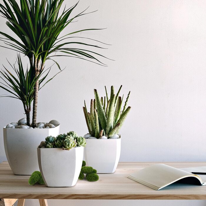 Мохові камені штучний зелений декор штучний мох кульки декор мохові кульки мох камені декор штучні камені зелені рослини декор для садових тераріумів декоративні камені мохові камені штучний мох, 8 шт.