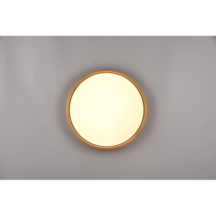 Стельовий LED-світильник Trio Leuchten Doha 641310208, матова латунь, акрил, LED 29 Вт