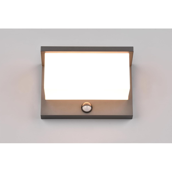 Стічний LED-світильник Trio Leuchten Nestos 240969142, алюміній (антрацит), білий пластиковий плафон, 13 Вт, з датчиком руху