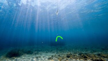 Стартовий набір Libra Lures Fatty D Worm Tournament 55 мм 20 мяких приманок для форелі 10 кольорів з ароматом криля набір гумових приманок герметичний контейнер ідеально підходить для лову форелі