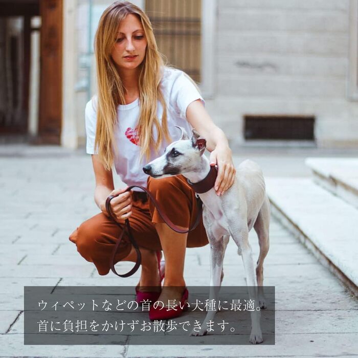 Ошийник для собак Ferplast VIP CW15/32, шкіряний, м'яко підбитий, ширина 1,5 см, обхват шиї 26-32 см, коричневий