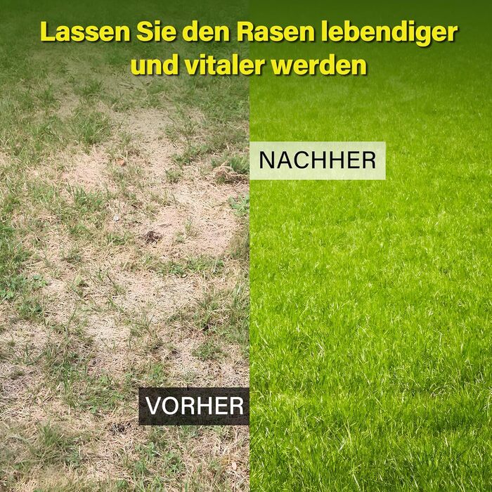 Гребінь для вирівнювання газону Garten L 2026, покращений, з нержавіючої сталі, з оптимізованим різьбовим зєднанням для запобігання ослабленню, регульований, для ґрунту, землі, догляду за газоном та ландшафтного дизайну 4525 см