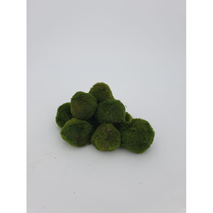 Великі кульки з моху 3 шт. и приблизно 6-7 см 1 нано кулька з моху 1-2 см