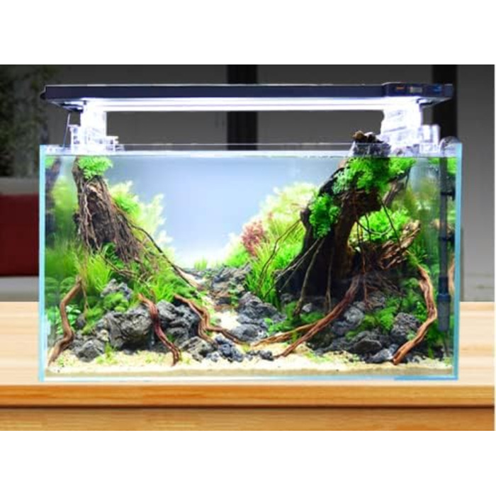 Акваріум BEGONDIS Cube 20x20x20 см, скляний акваріум